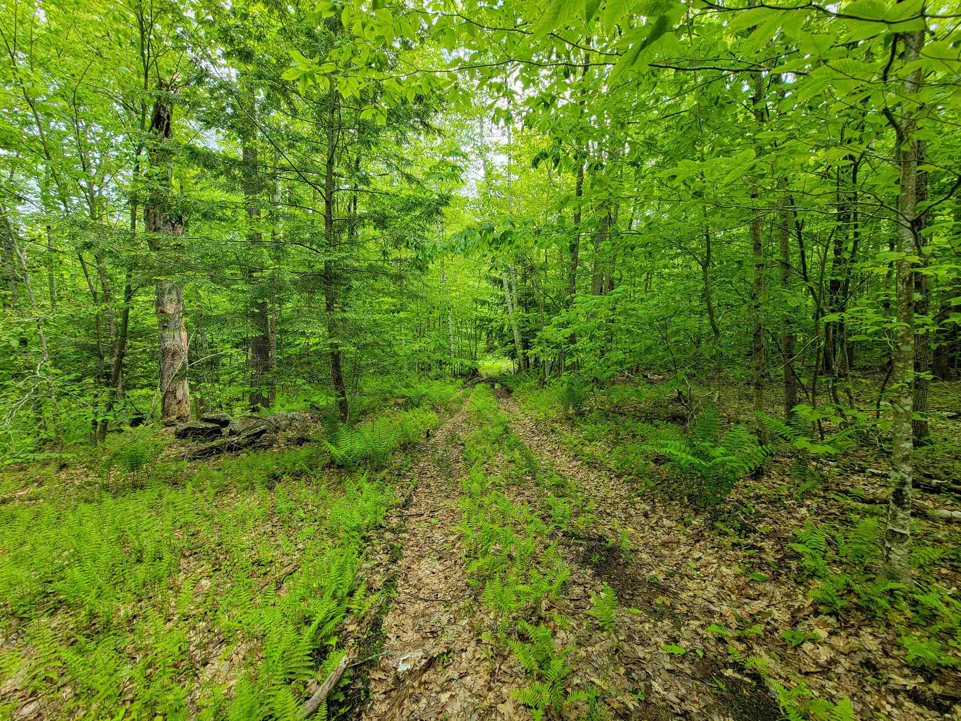 184 Schoolhouse Road Jamaica VT 05343