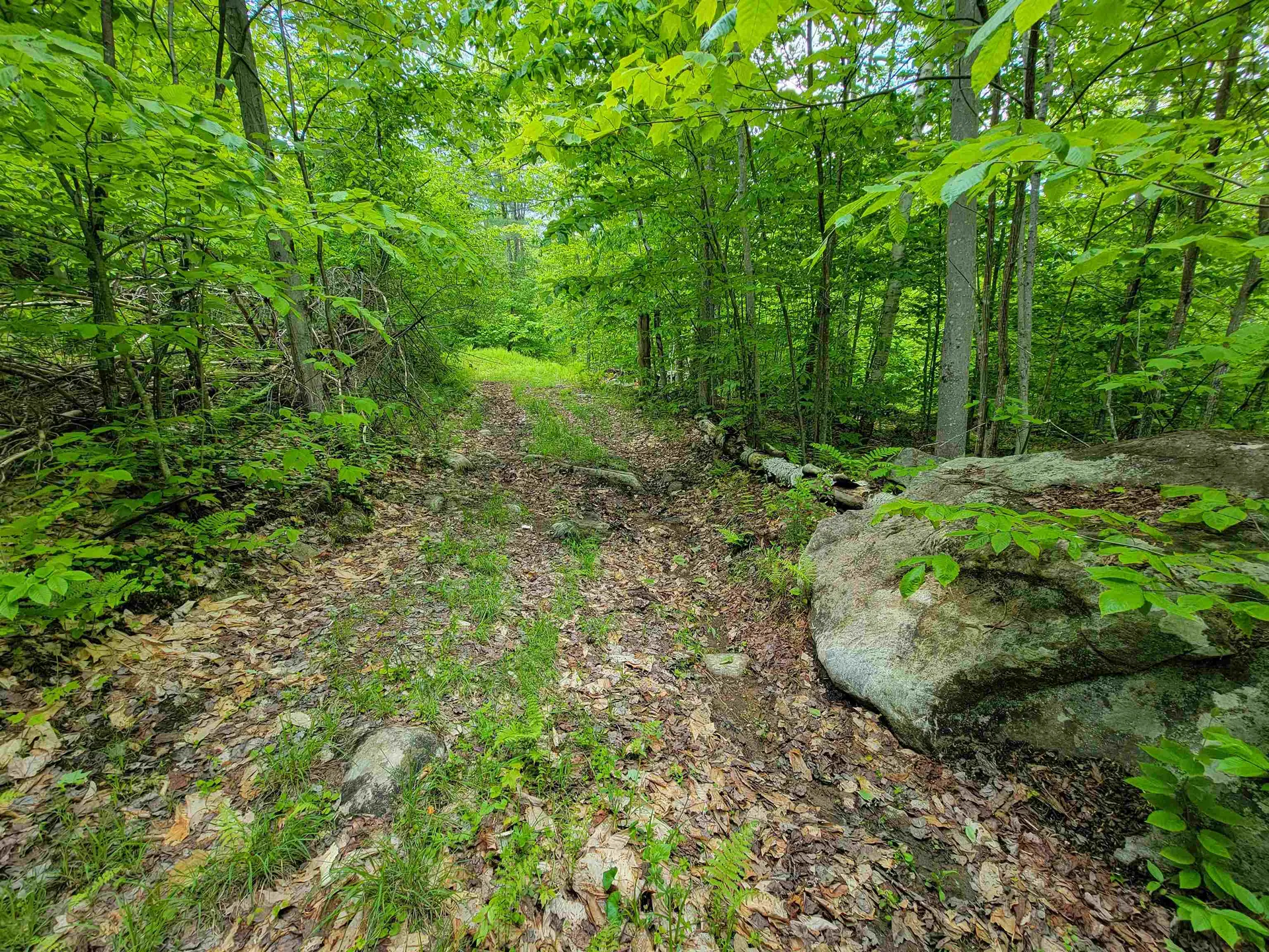 184 Schoolhouse Road Jamaica VT 05343