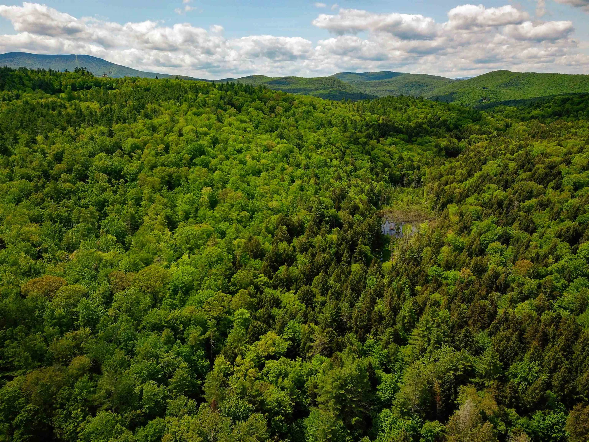 184 Schoolhouse Road Jamaica VT 05343