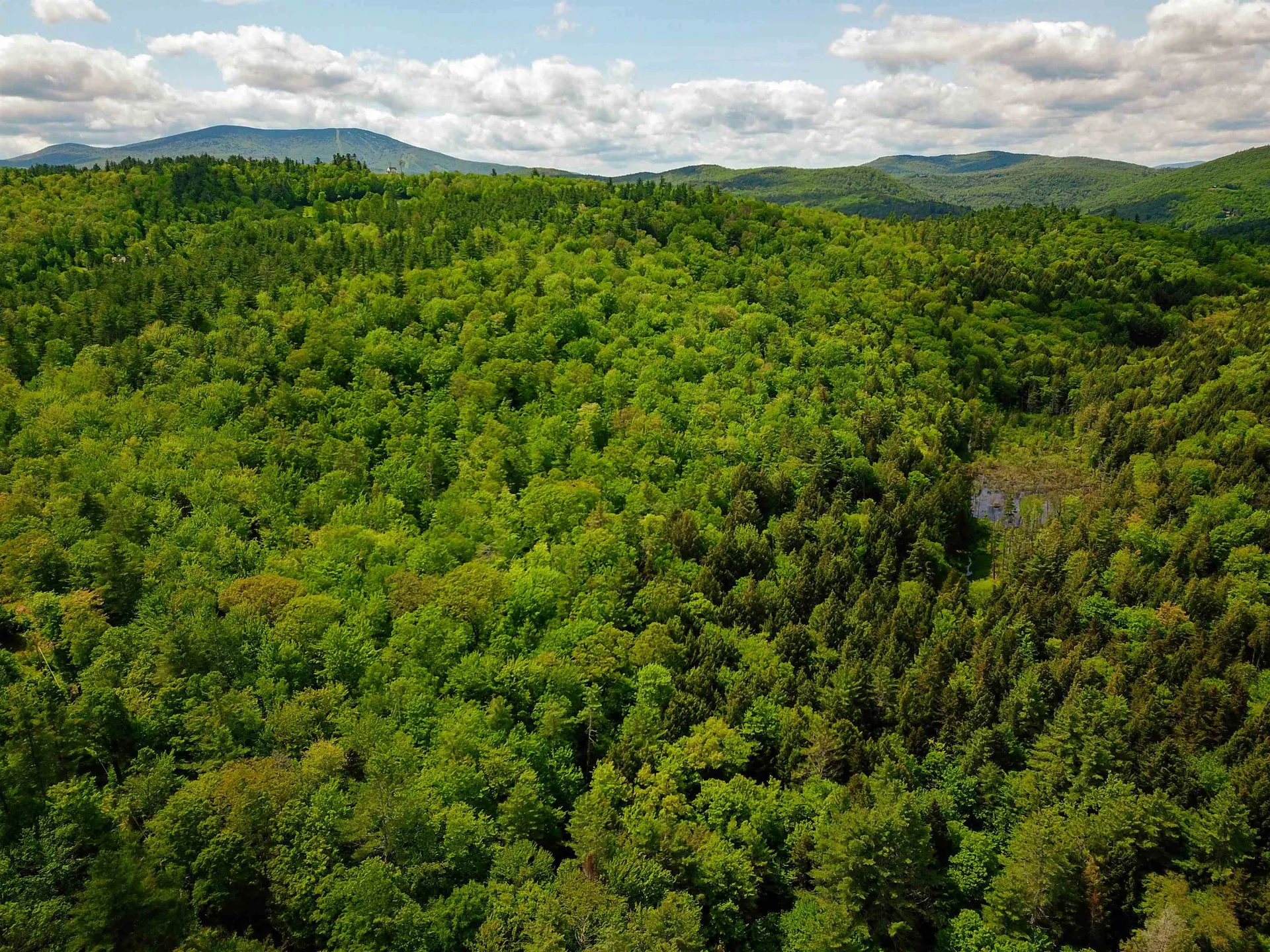 184 Schoolhouse Road Jamaica VT 05343