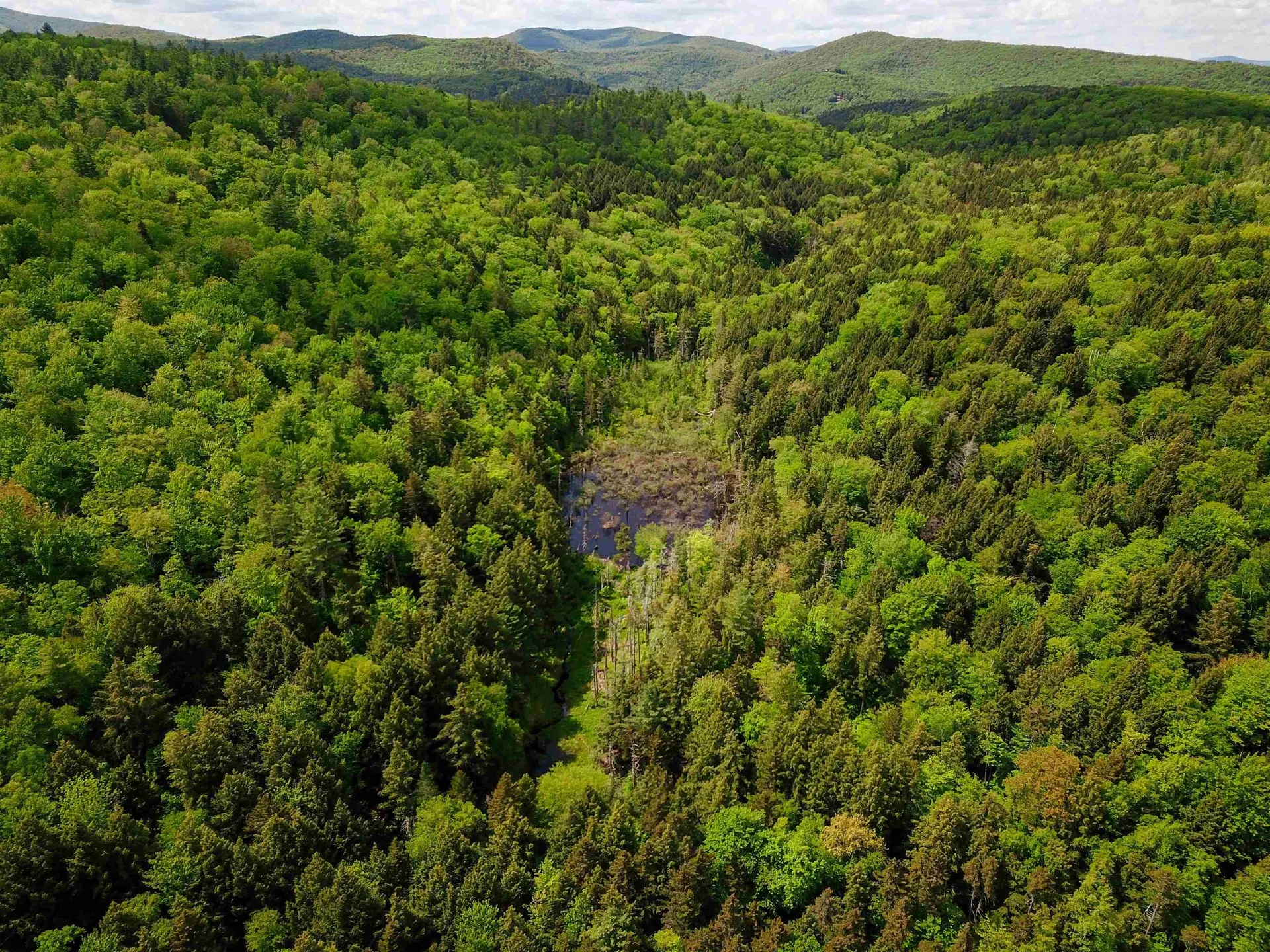 184 Schoolhouse Road Jamaica VT 05343
