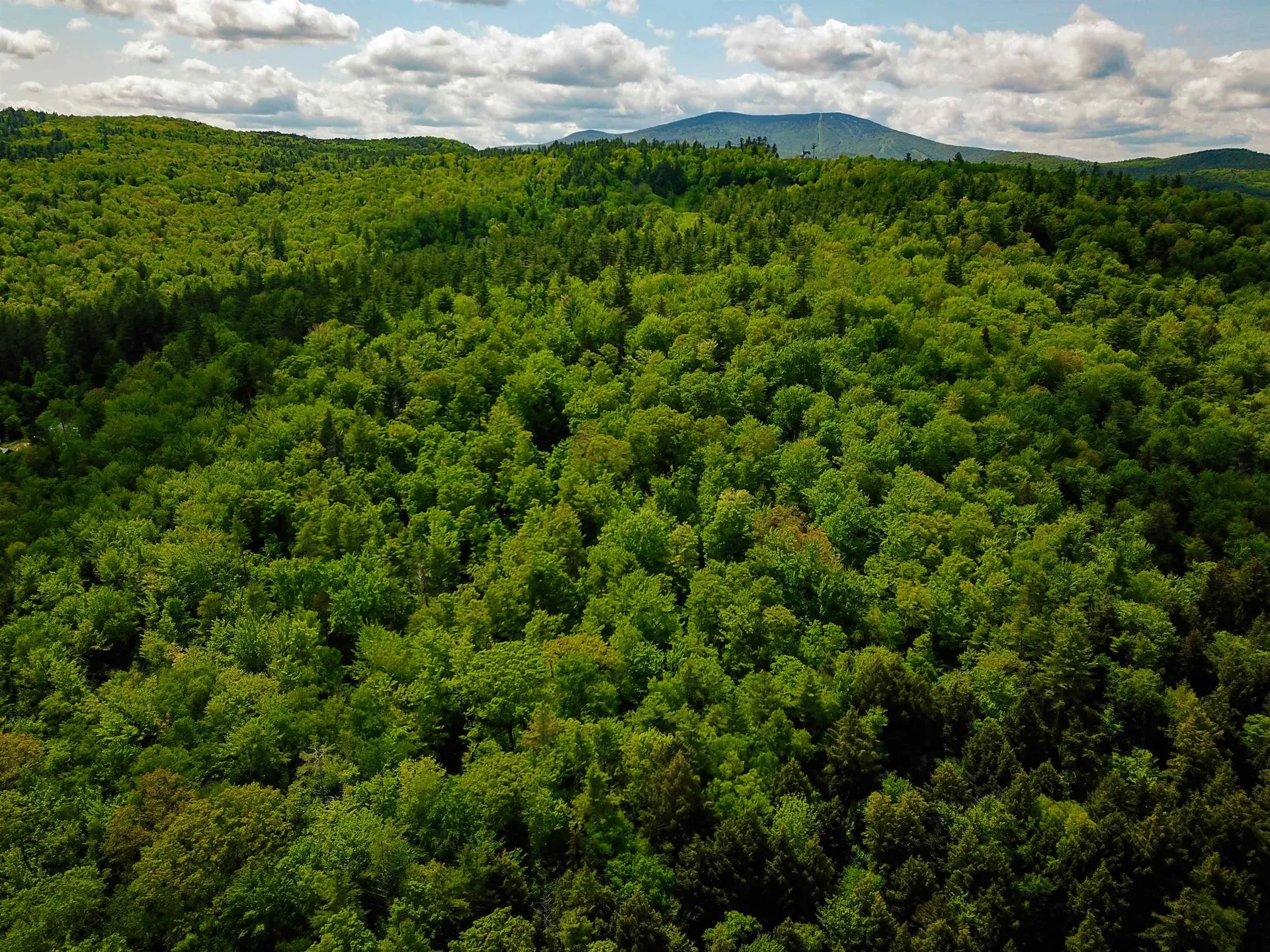 184 Schoolhouse Road Jamaica VT 05343