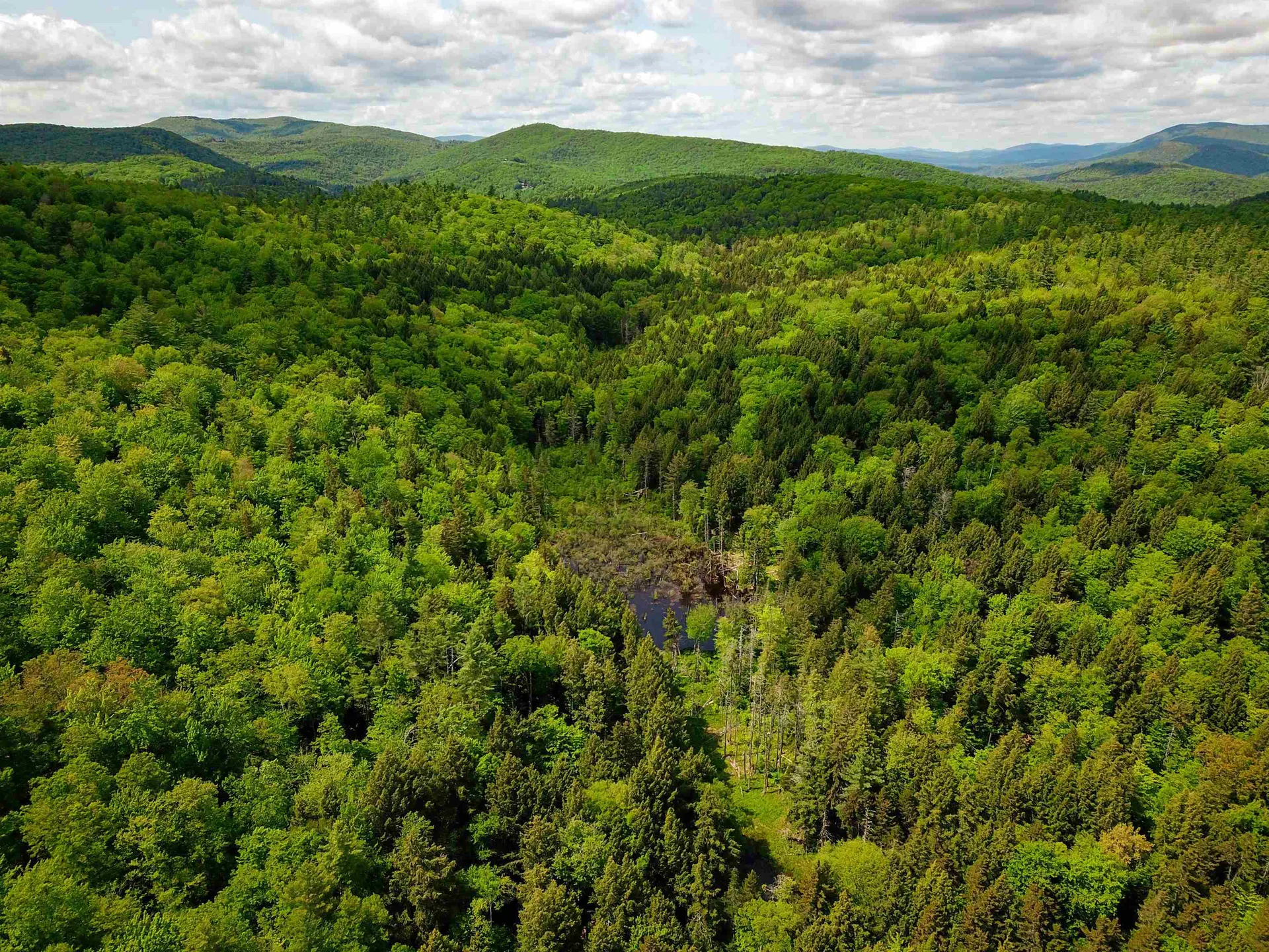 184 Schoolhouse Road Jamaica VT 05343
