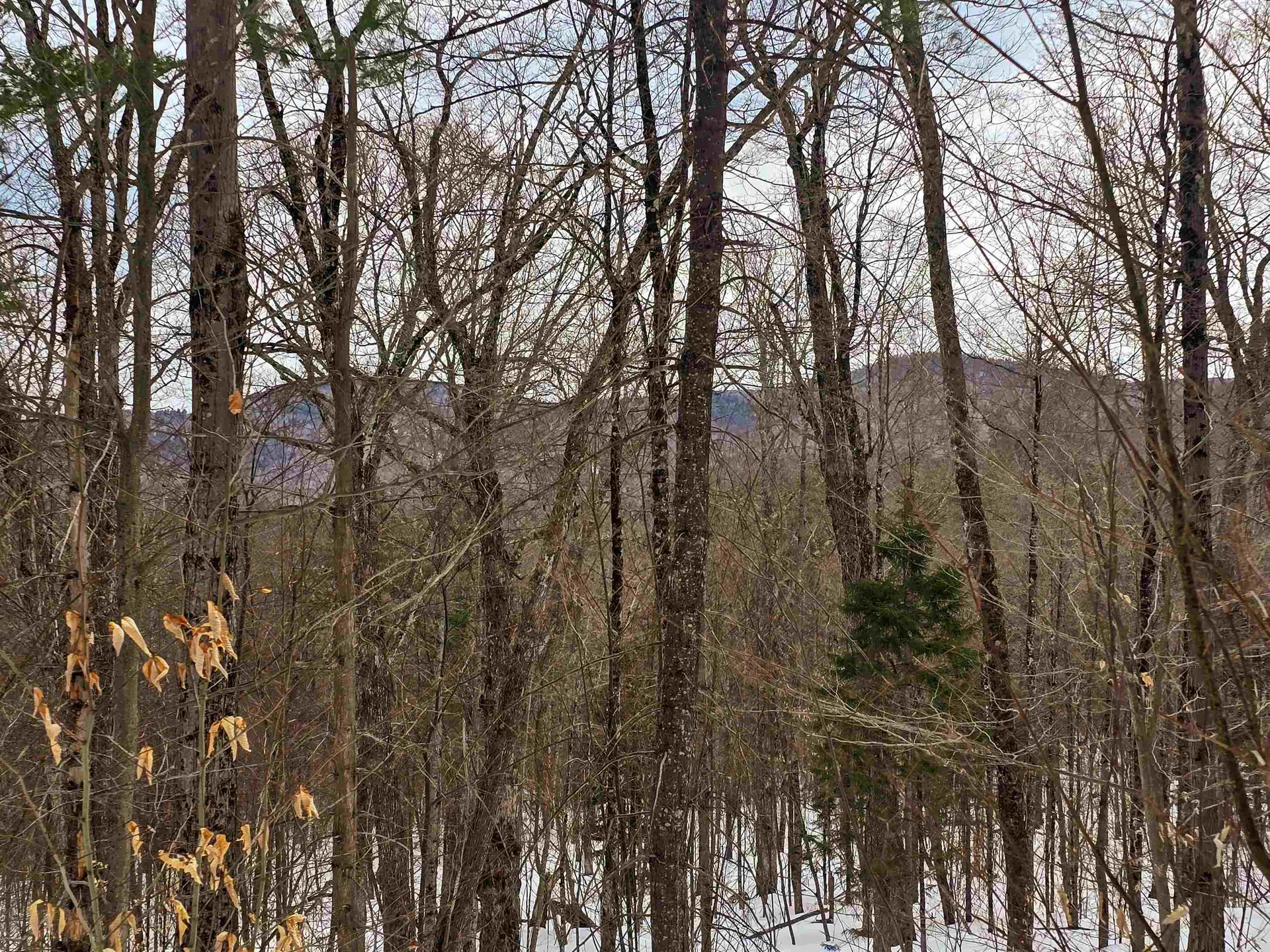 184 Schoolhouse Road Jamaica VT 05343