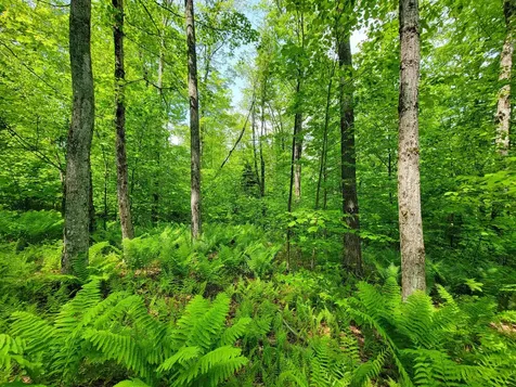 184 Schoolhouse Road Jamaica VT 05343