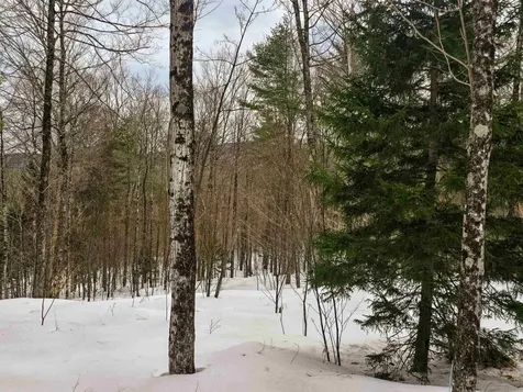 184 Schoolhouse Road Jamaica VT 05343