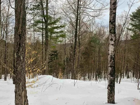 184 Schoolhouse Road Jamaica VT 05343