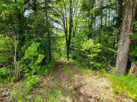 184 Schoolhouse Road Jamaica VT 05343