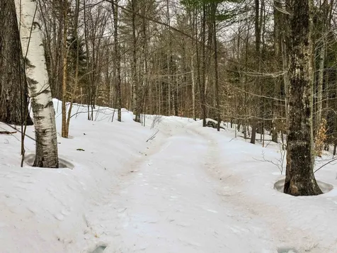 184 Schoolhouse Road Jamaica VT 05343