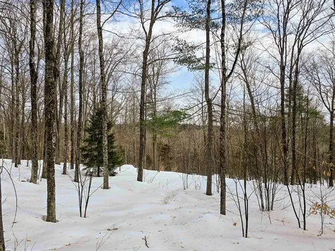 184 Schoolhouse Road Jamaica VT 05343