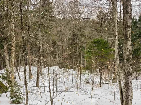 184 Schoolhouse Road Jamaica VT 05343