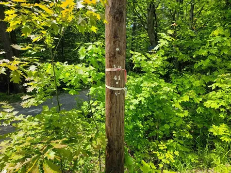 184 Schoolhouse Road Jamaica VT 05343