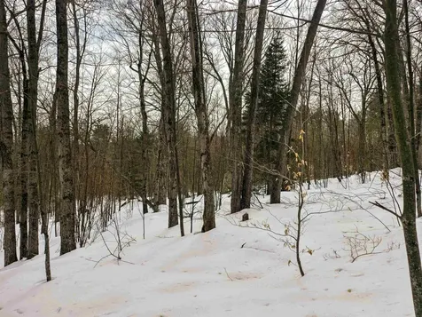 184 Schoolhouse Road Jamaica VT 05343