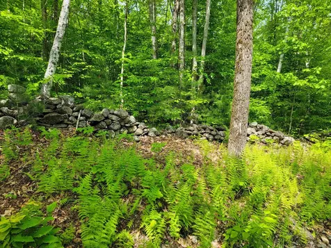 184 Schoolhouse Road Jamaica VT 05343