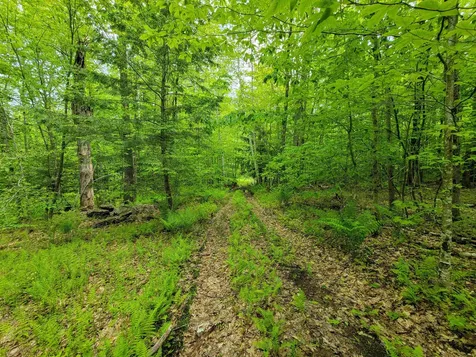 184 Schoolhouse Road Jamaica VT 05343