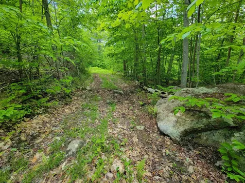 184 Schoolhouse Road Jamaica VT 05343