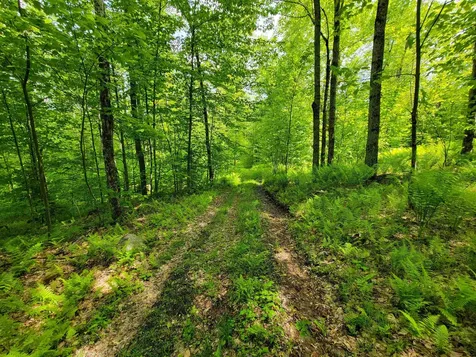 184 Schoolhouse Road Jamaica VT 05343