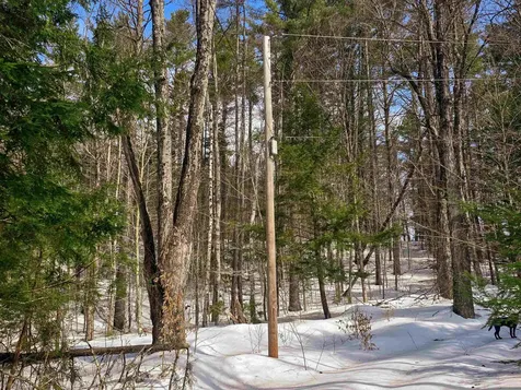 184 Schoolhouse Road Jamaica VT 05343