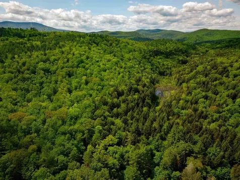 184 Schoolhouse Road Jamaica VT 05343