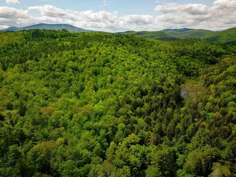 184 Schoolhouse Road Jamaica VT 05343