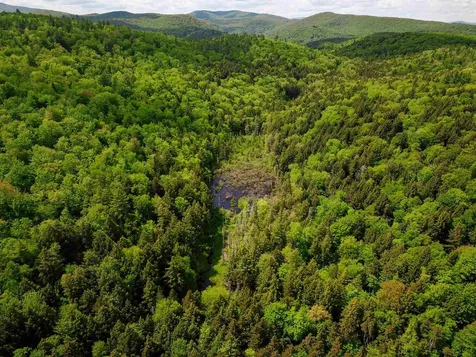 184 Schoolhouse Road Jamaica VT 05343