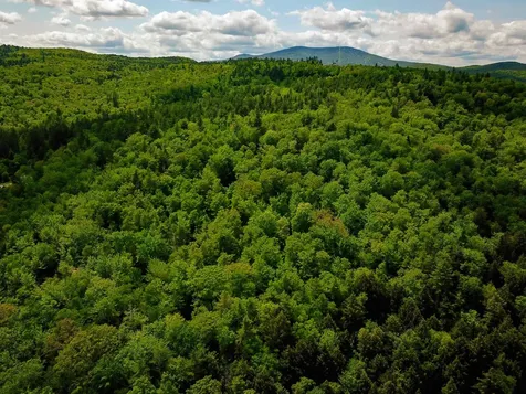 184 Schoolhouse Road Jamaica VT 05343