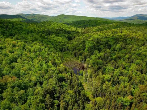 184 Schoolhouse Road Jamaica VT 05343