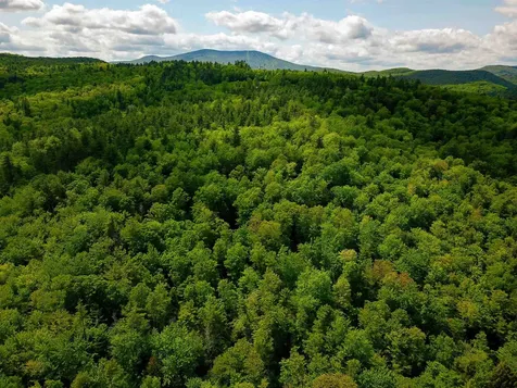 184 Schoolhouse Road Jamaica VT 05343