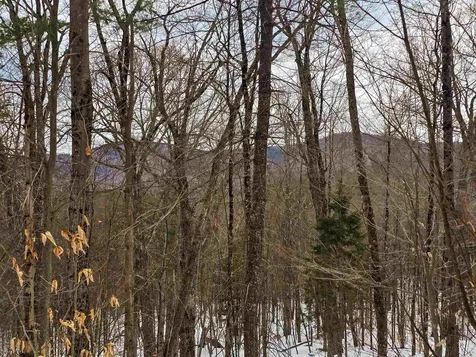 184 Schoolhouse Road Jamaica VT 05343