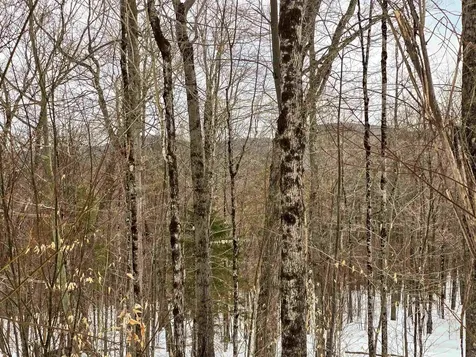 184 Schoolhouse Road Jamaica VT 05343