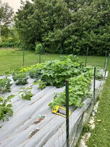 246 Clarendon Avenue West Rutland VT 05777