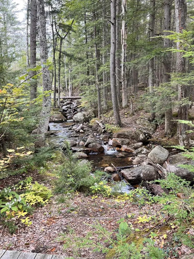 11 Ridge Circle Conway NH 03860