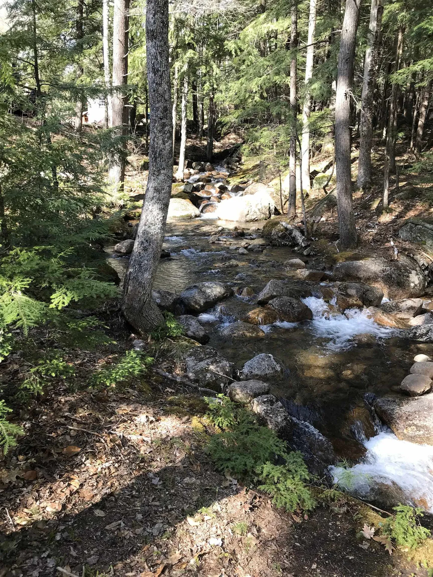 11 Ridge Circle Conway NH 03860