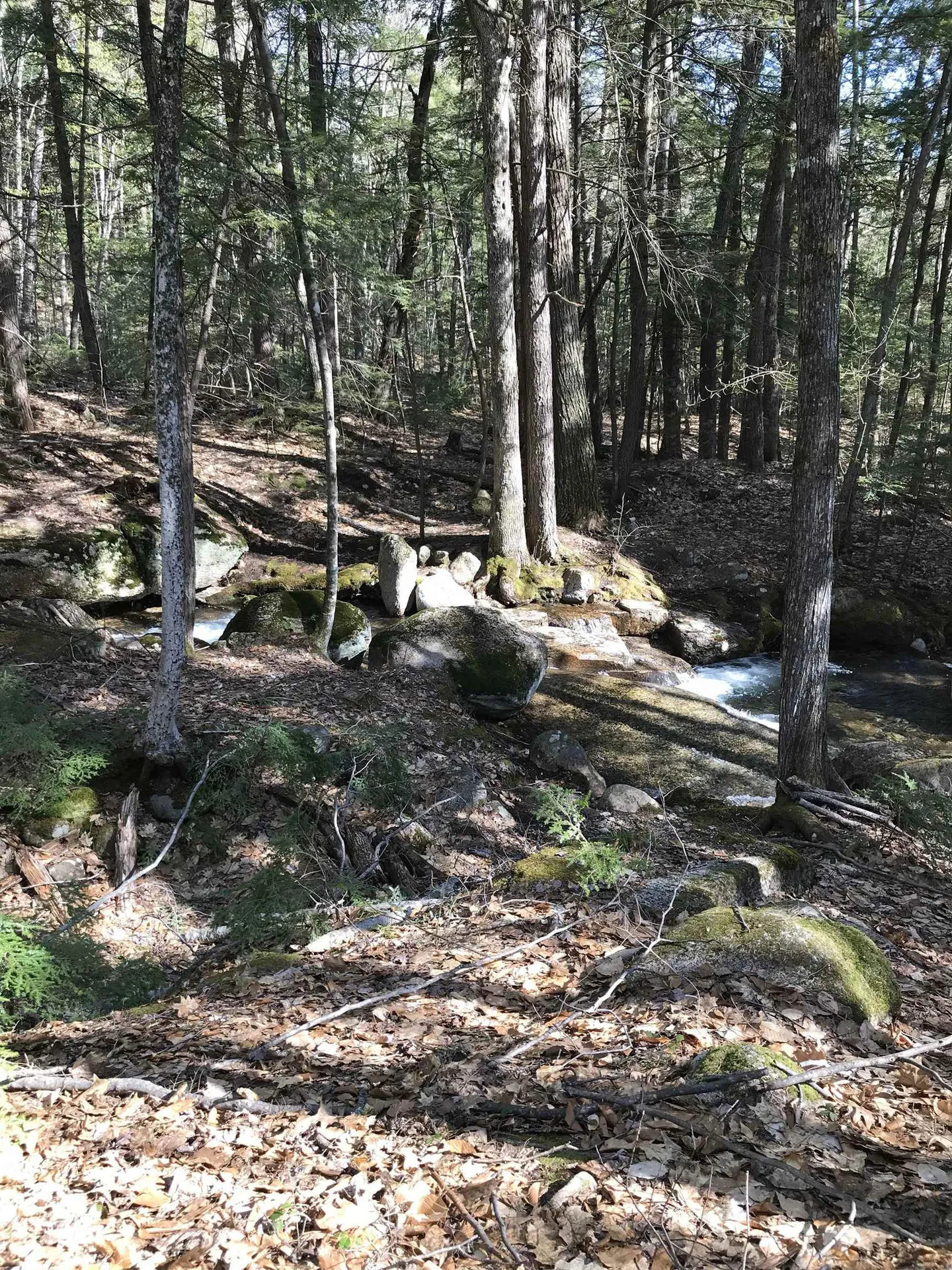 11 Ridge Circle Conway NH 03860