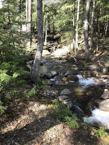 11 Ridge Circle Conway NH 03860