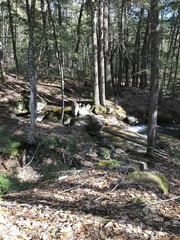 11 Ridge Circle Conway NH 03860