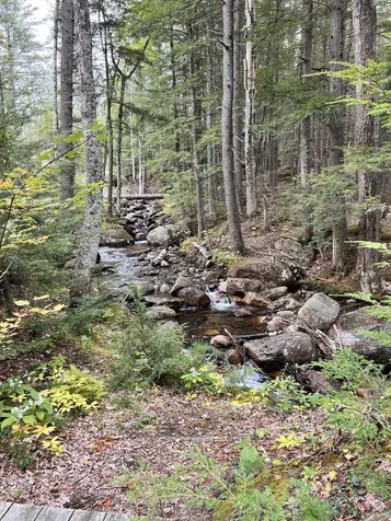 11 Ridge Circle Conway NH 03860