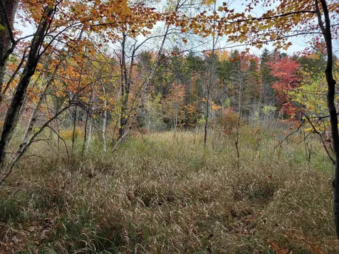 55 Wendy Road Stoddard NH 03464