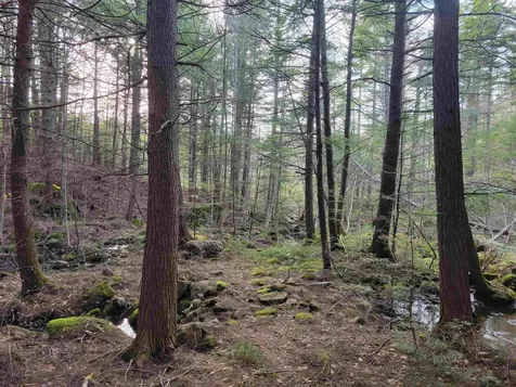 55 Wendy Road Stoddard NH 03464
