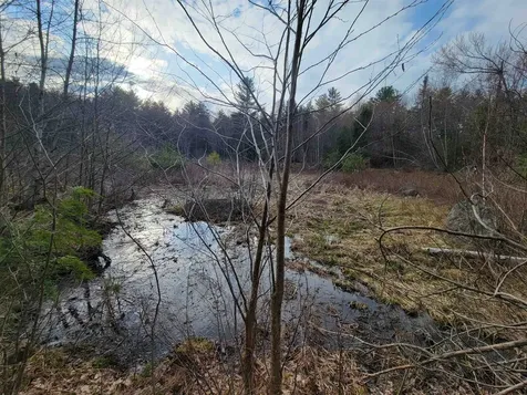 55 Wendy Road Stoddard NH 03464