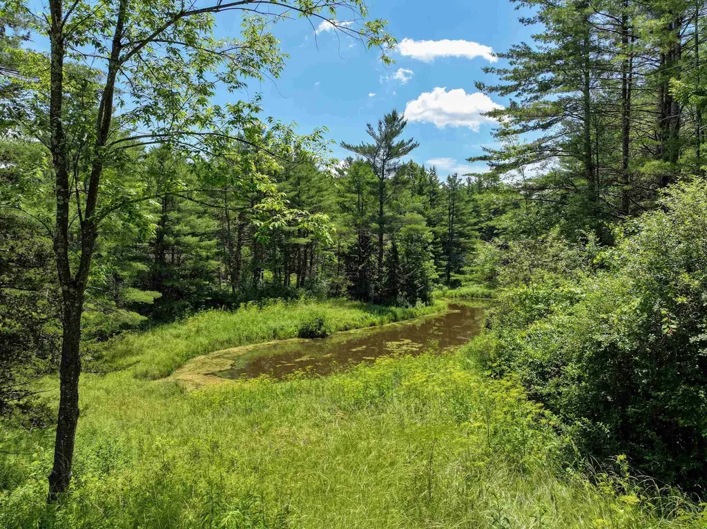 91 Old Pasture Lane Middlebury VT 05753