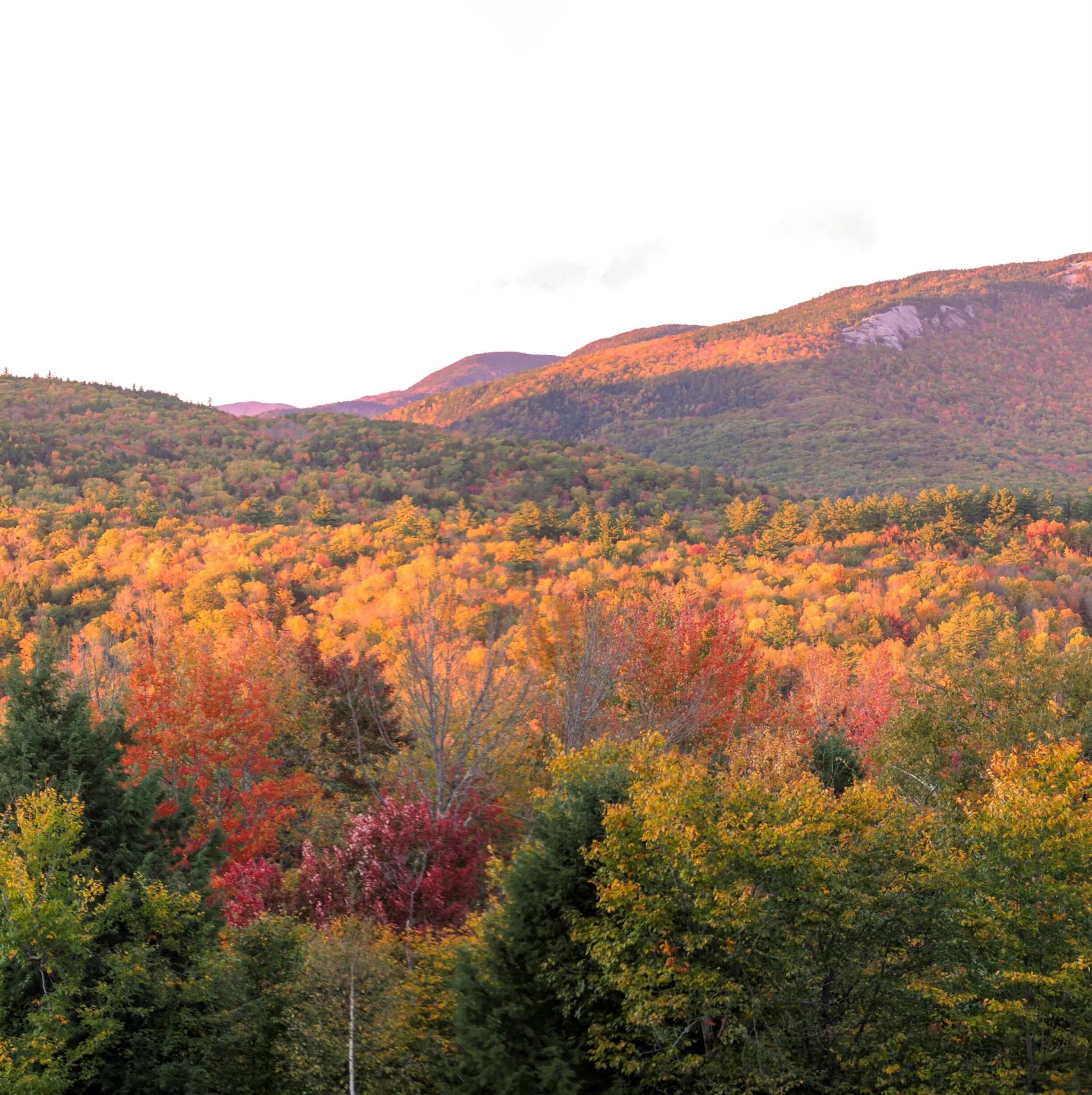 15 Carey Circle Thornton NH 03285