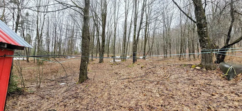 681 Phillips Road Glover VT 05875