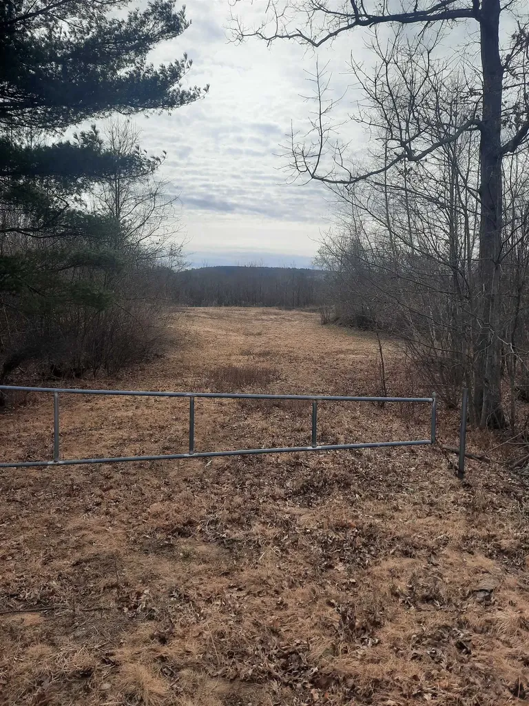 33 Locke Road Concord NH 03301