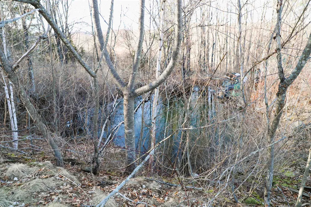 185 Harrington Road Westminster VT 05356
