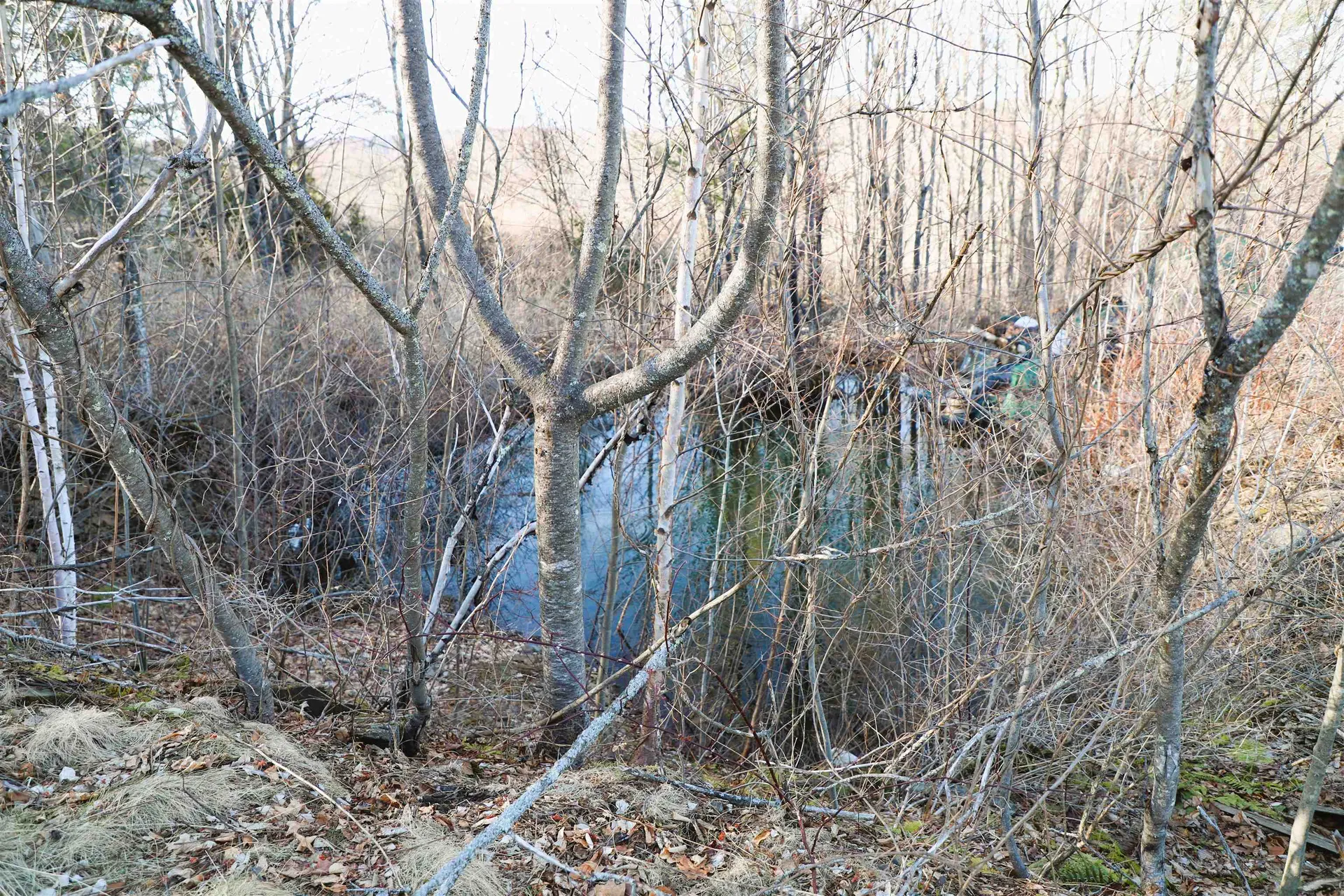 185 Harrington Road Westminster VT 05356