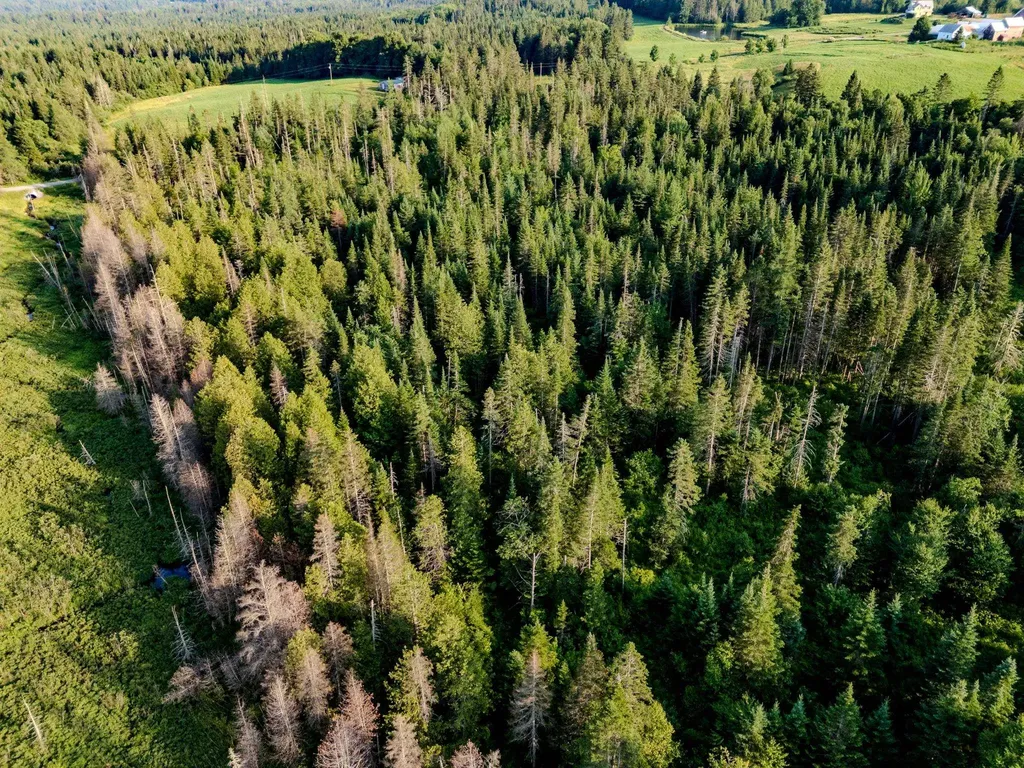 00 Watson Road Walden VT 05843