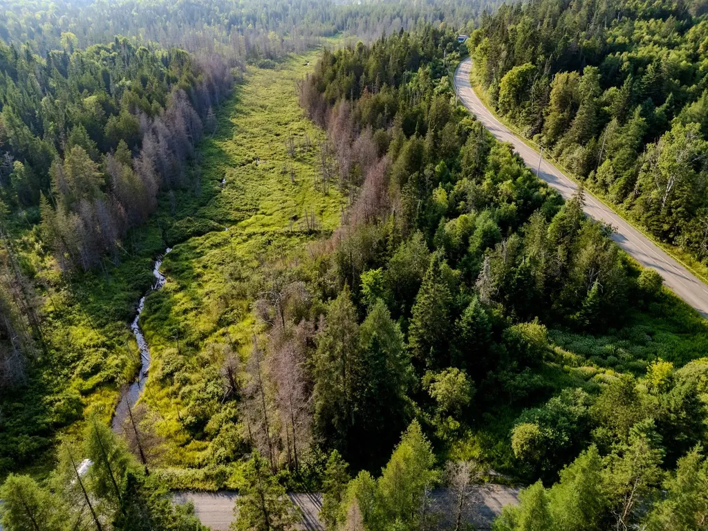 00 Watson Road Walden VT 05843