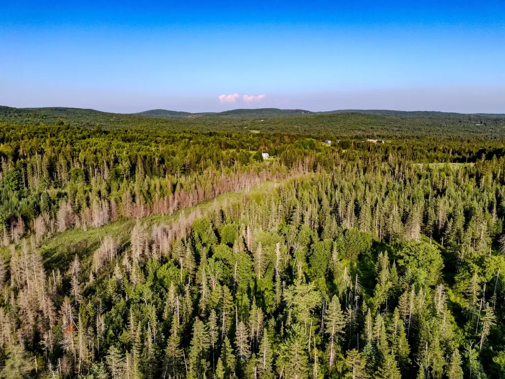 00 Watson Road Walden VT 05843