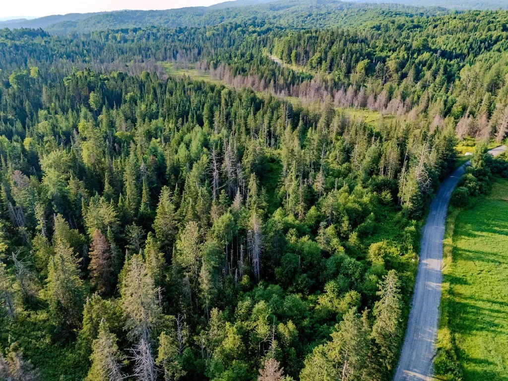 00 Watson Road Walden VT 05843